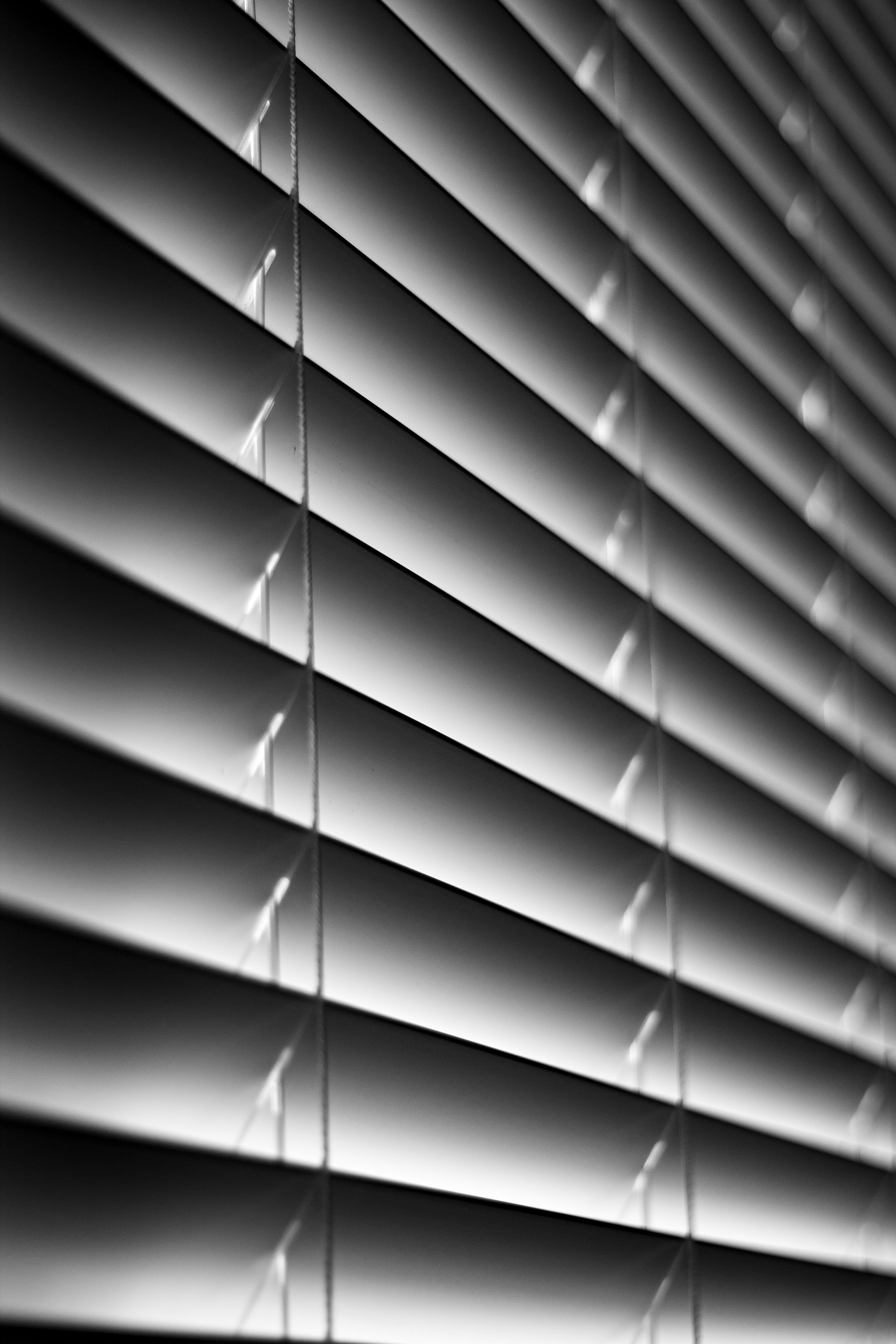 VENETIAN BLINDS